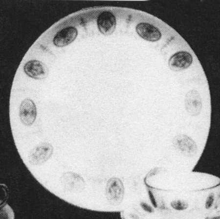 Dauphine Dinner Plate