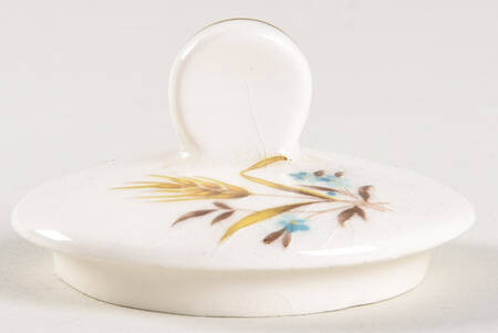 CAN2 Lid for Sugar Bowl