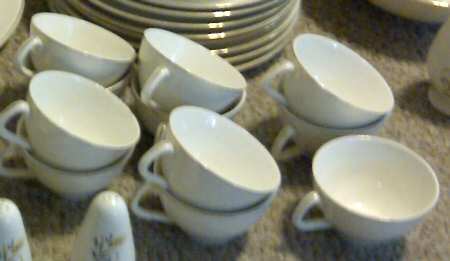 CAN2 Flat Cup