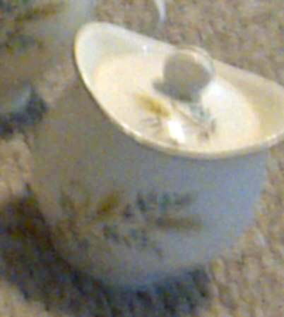 CAN2 Sugar Bowl & Lid