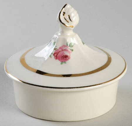 CAN20 Lid for Teapot