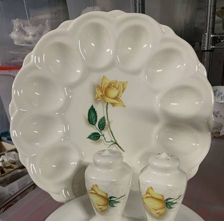 CAN23 Deviled Egg Plate