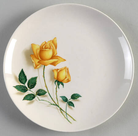 CAN23 Salad Plate