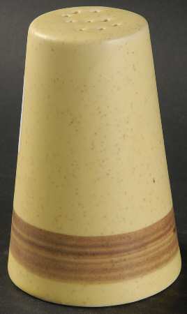 Sunbeam Salt Shaker