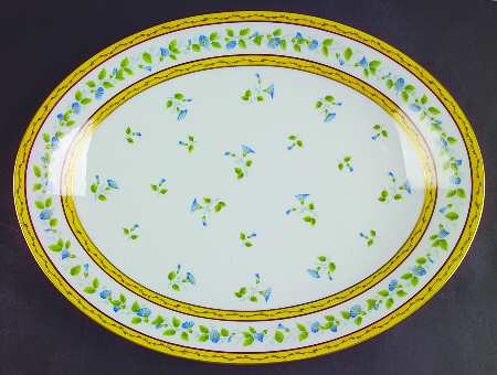 Morning Glory Spray 15" Oval Serving Platter by Ceralene