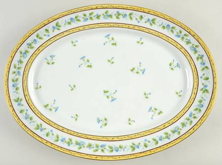 Morning Glory Spray 16" Oval Serving Platter
