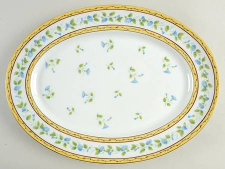 Morning Glory Spray 14" Oval Serving Platter