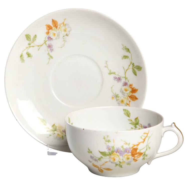 CHF19 Flat Cup & Saucer Set by Charles Field Haviland