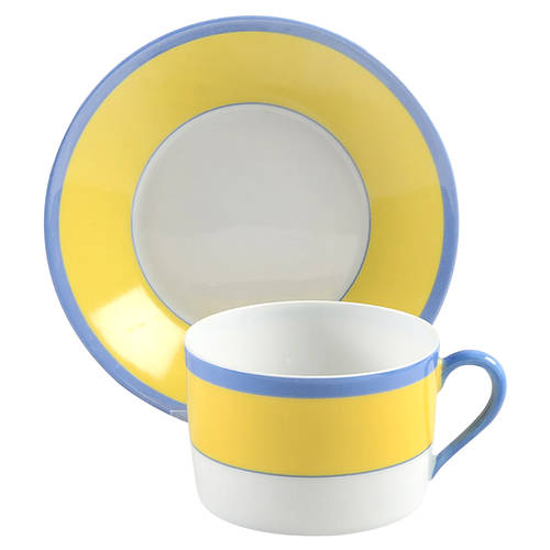 Monet Flat Cup & Saucer Set by Charles Field Haviland