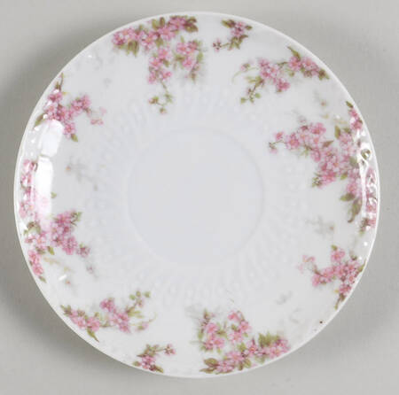 Schleiger 1289 Saucer