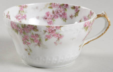 Schleiger 1289 Flat Cup
