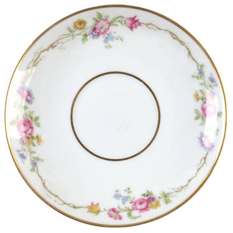 Schleiger 190 Saucer
