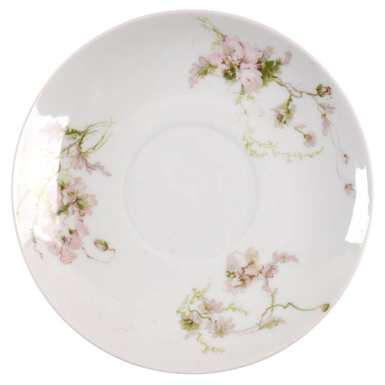 Schleiger 377 Saucer