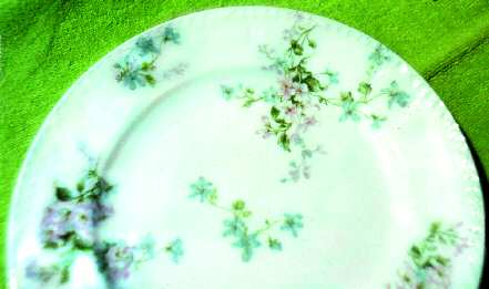 Schleiger 381e by Charles Field Haviland