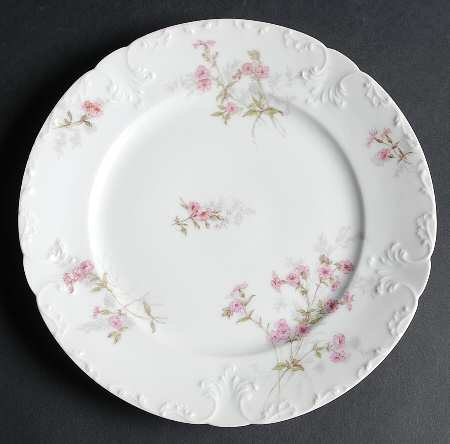 Schleiger 382 Luncheon Plate by Charles Field Haviland