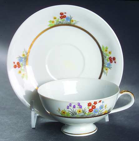 Rockgarden Footed Cup & Saucer Set by Chalfonte