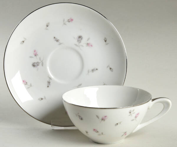 Boutique Flat Cup & Saucer Set by James Chatelaine