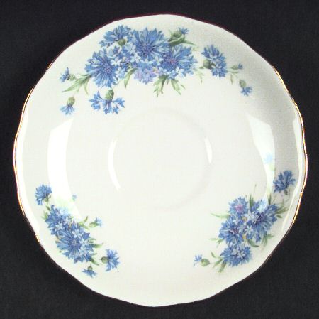 CLC20 Saucer