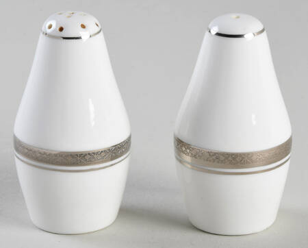 Elite Platinum Salt & Pepper Set by Coalport
