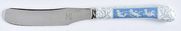 Revelry Blue Hollow Handle Master Butter Knife