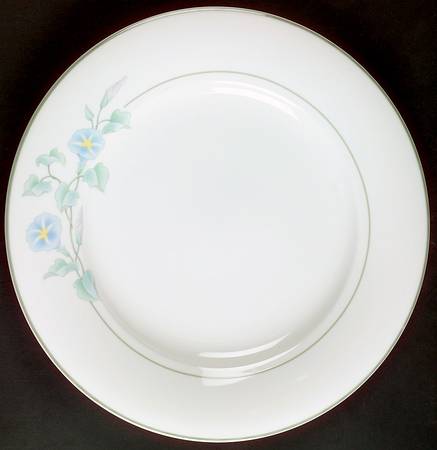 Augusta-Savannah by Corning Corelle