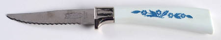 Cornflower Blue Individual Fruit Knife