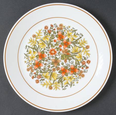 COR35 by Corning Corelle