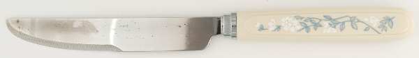 First of Spring (Corelle) Small Dinner Knife