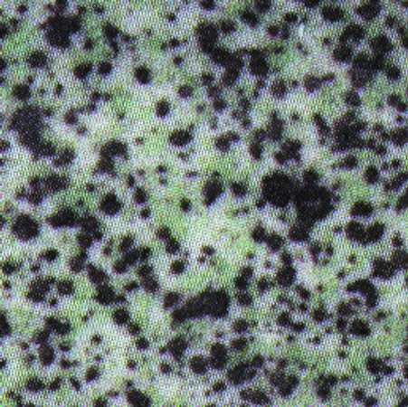 Granito Green by Corning Corelle