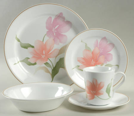 Pacifica (Corelle) 5 Piece Place Setting