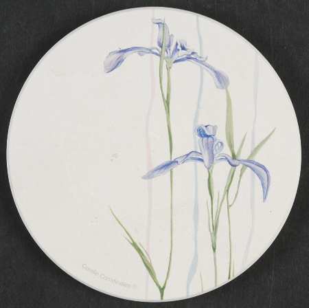 Shadow Iris (Corelle) Round (Thirsty) Stone Coaster