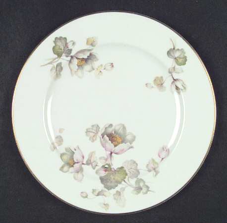 CPT1 Salad Plate