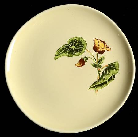 Berkley Dessert/Pie Plate