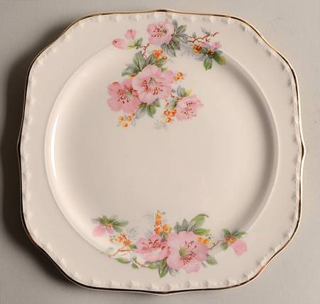 CRO1 Square Salad Plate