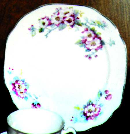 Pw22 Dinner Plate