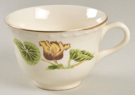 Delmar Begonia Flat Cup
