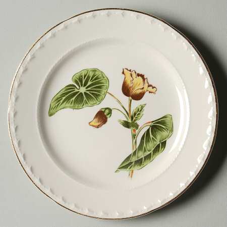Delmar Begonia Bread & Butter Plate