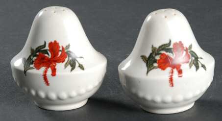 Hibiscus Salt & Pepper Set