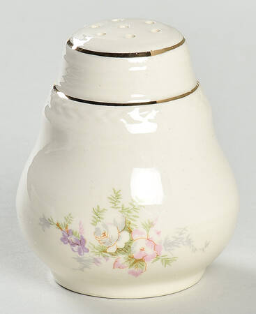 9107 Salt Shaker