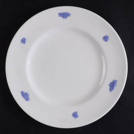 CRS10 Luncheon Plate
