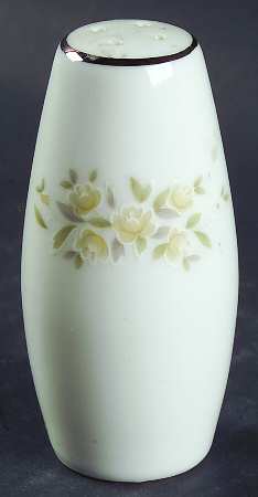 Carolyn Salt Shaker
