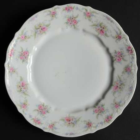 CTI5 Luncheon Plate