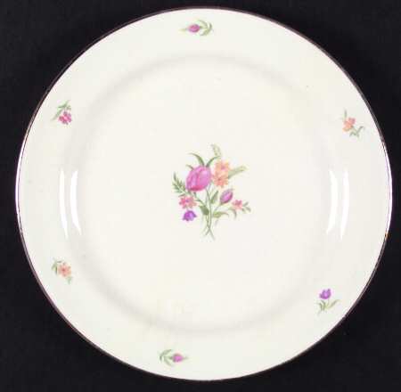 Chintz by Cunningham &amp; Pickett