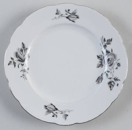 CIL8 Salad Plate