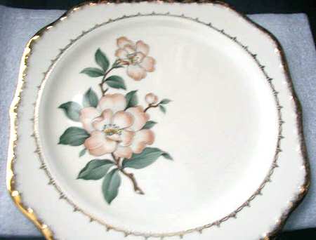CRO148 Square Salad Plate