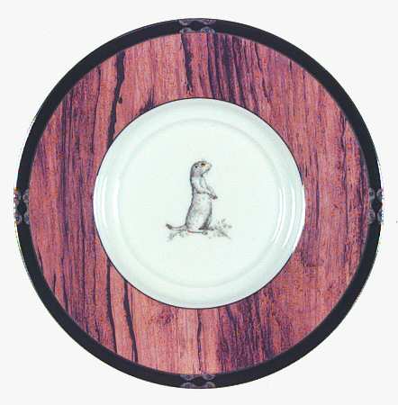 American Pages Saucer for Mug
