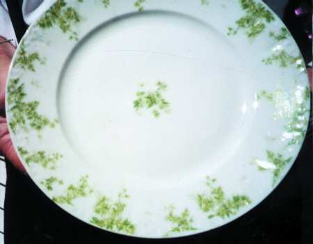 Schleiger 1289b by Charles Field Haviland