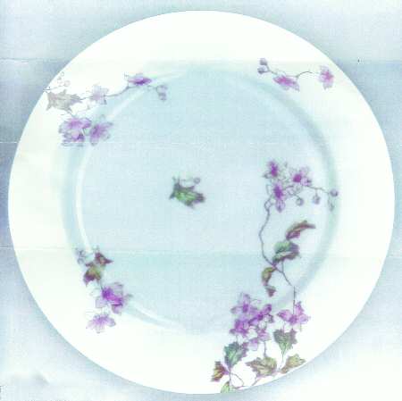 CHF496 Salad Plate
