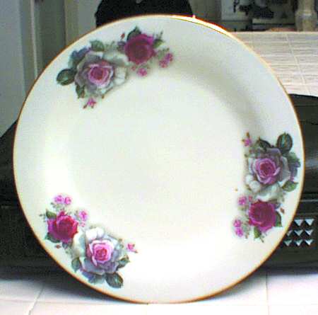 CX50 Dinner Plate