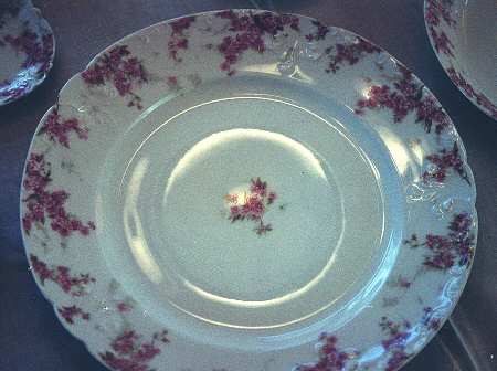 Schleiger 1289a by Charles Field Haviland